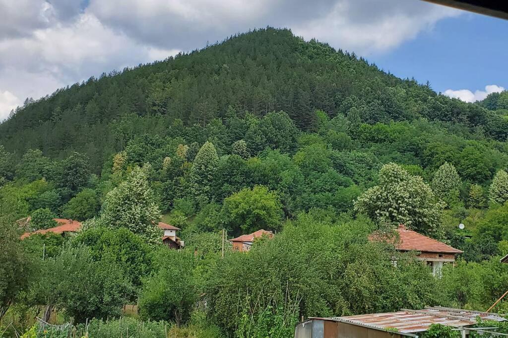 Двете Къщи В Планината Villa Beli Osum Ngoại thất bức ảnh